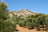 Les Alpilles