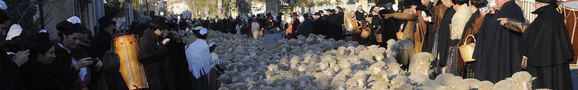 Fête des bergers et des traditions Istres