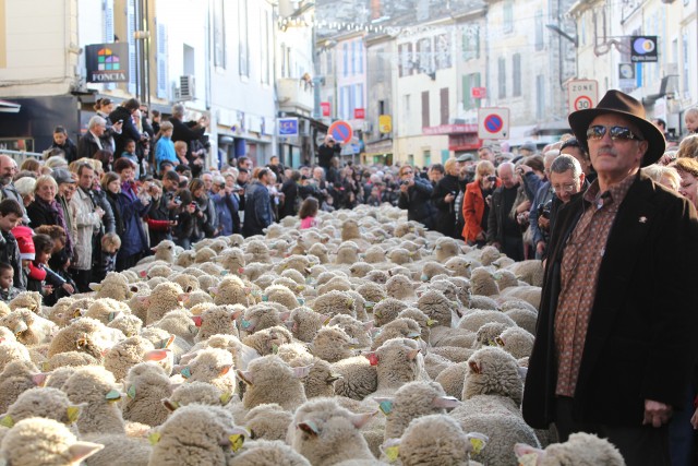La fiesta de los pastores y de los tradiciones