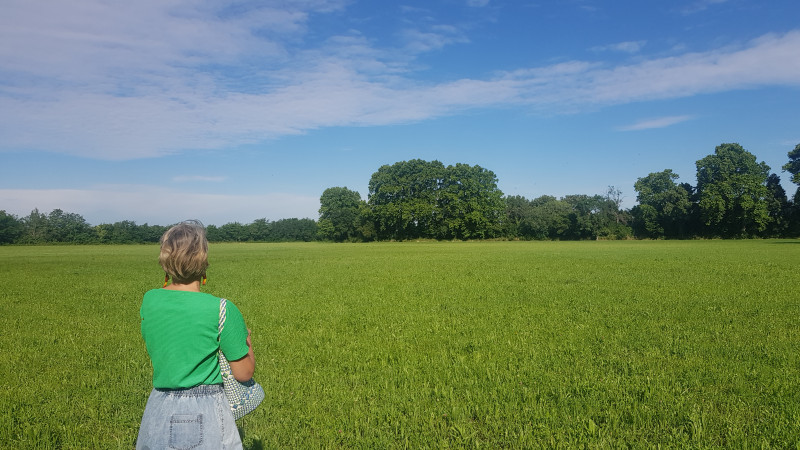 Champ de foin de Crau