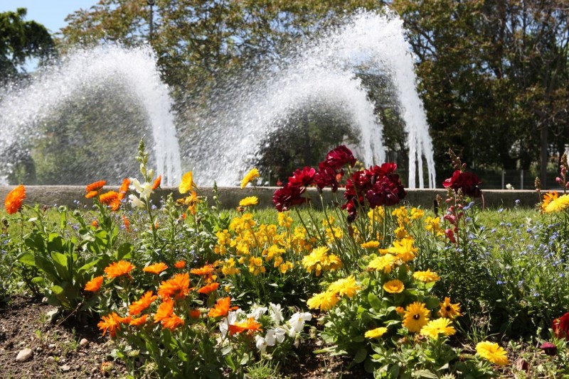 Des ronds points fleuris à Istres