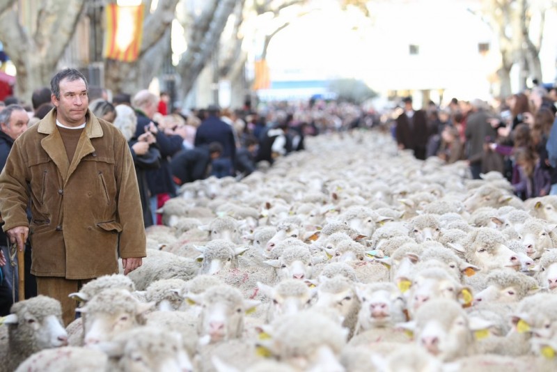 Fête - Bergers - Traditions - Istres