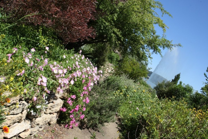 Le Jardin méditerranéen et le jet d'eau