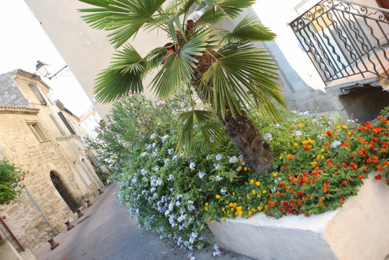 Un centre ancien fleuri