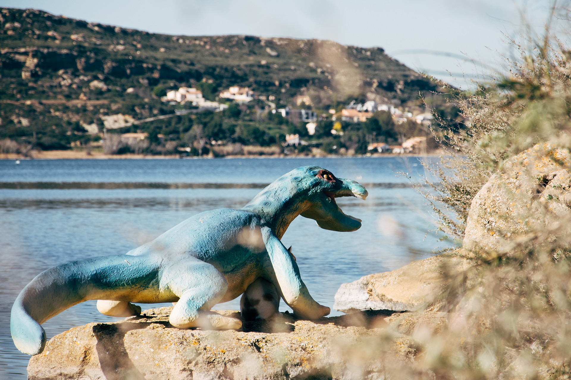 dinosaur-istres-09-retaille-59067 - © Two Black Cameras