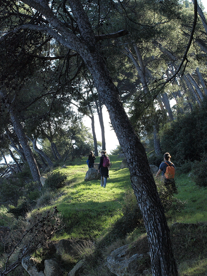 La pinède des 4 vents