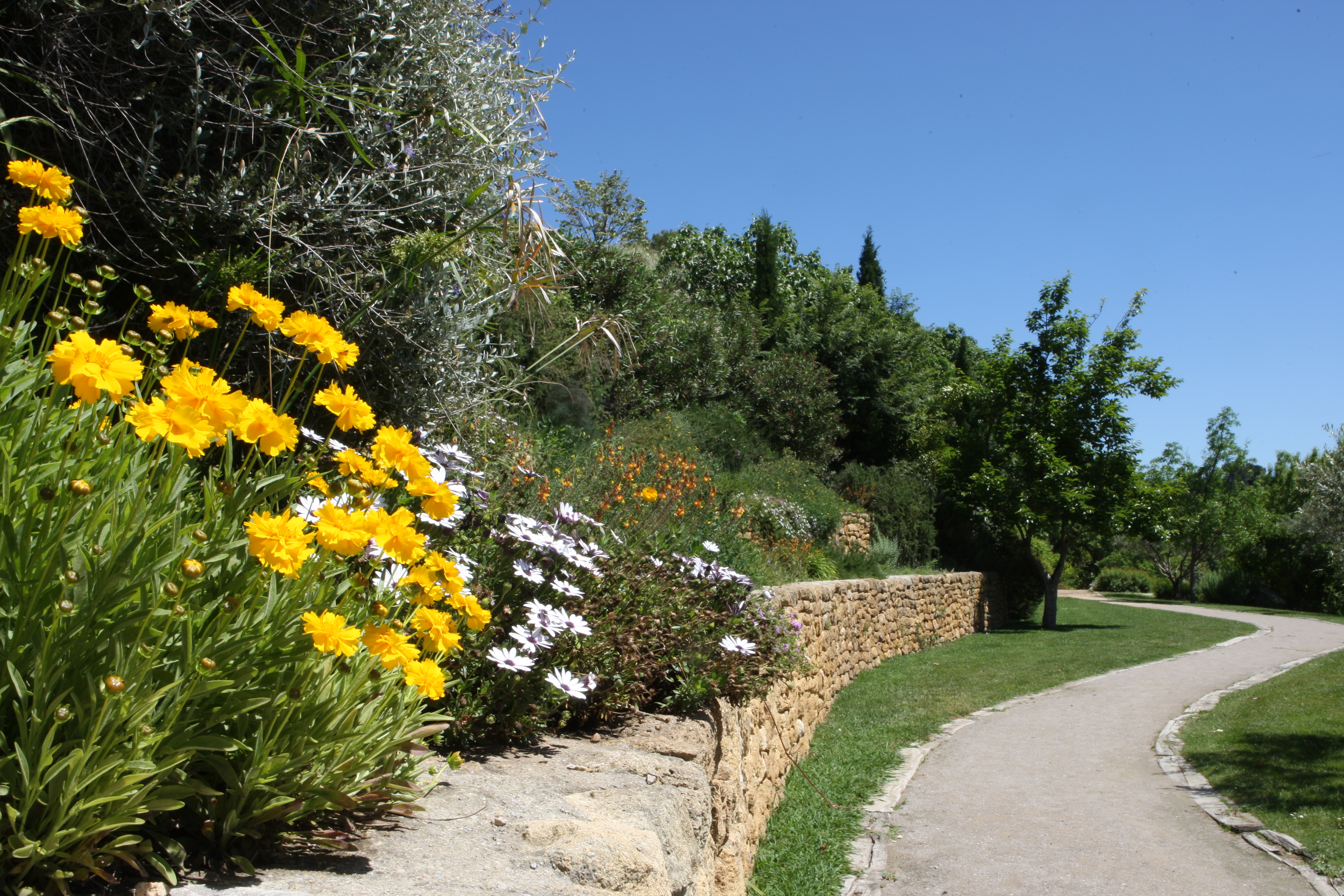 Le jardin méditerranéen, jardin bucolique 