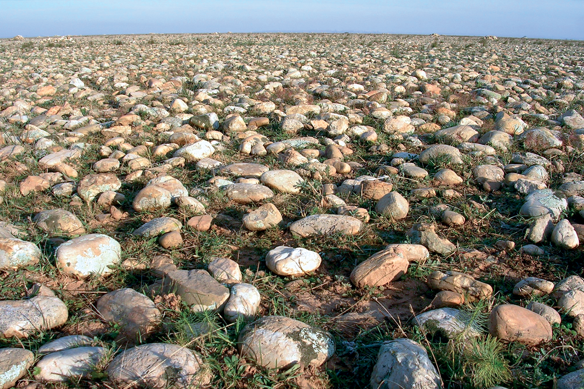 Les galets de la Plaine de la Crau - © A.Woff