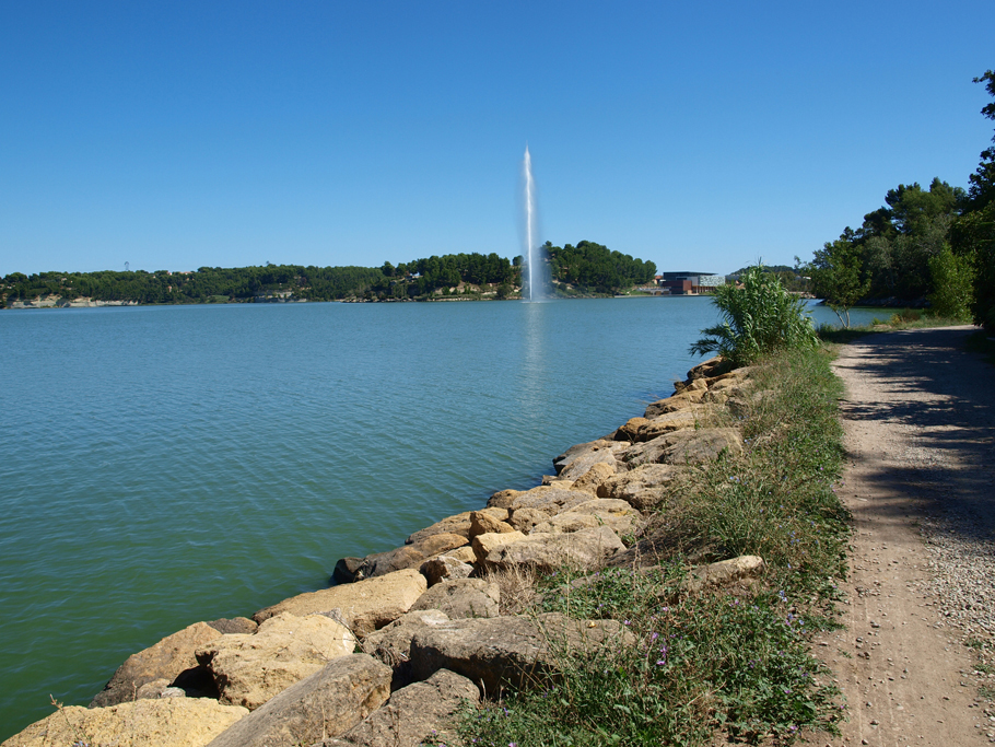 Les rives de l'étang de l'Olivier