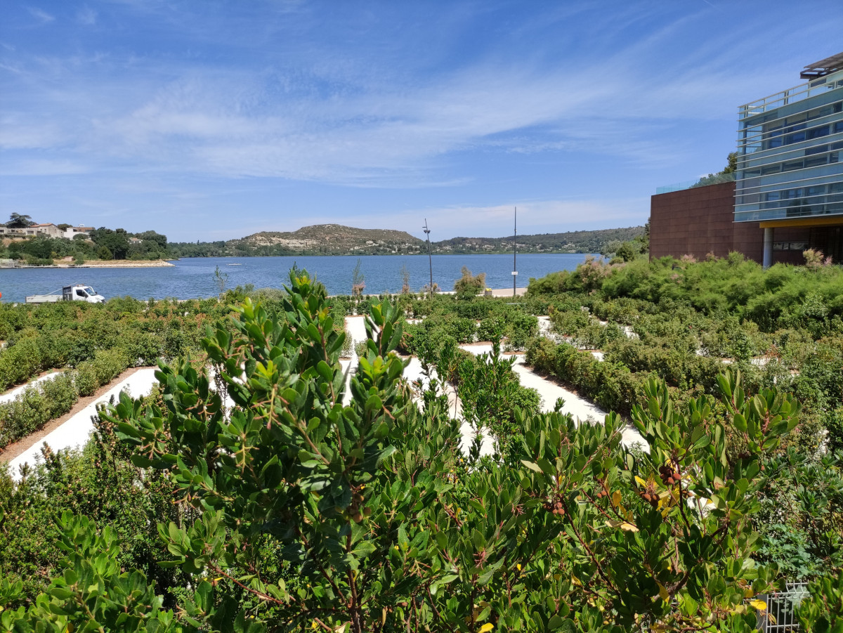 labyrinthe_etang_de_l_olivier_juillet_6.jpg