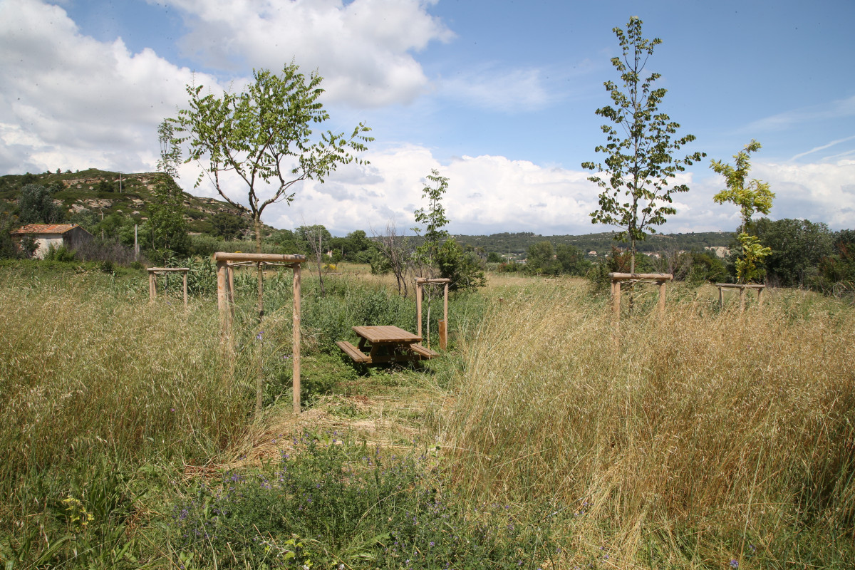 parc_de_l_olivier_miouvin_8.jpg