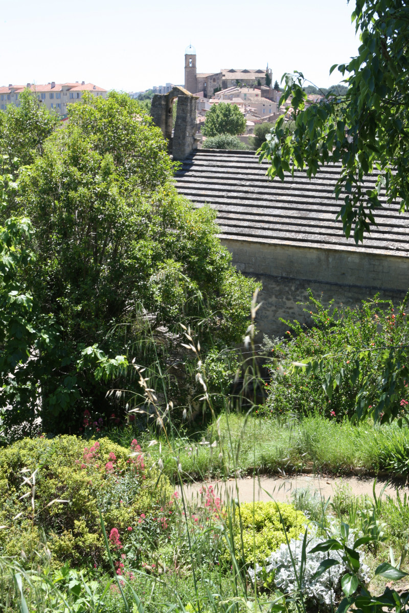 fleurs_jardins_4.jpg