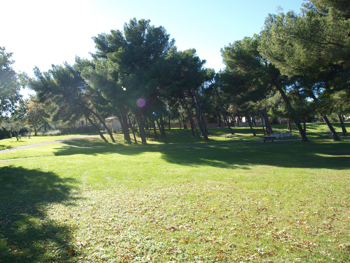 parc_de_la_romaniquette.jpg