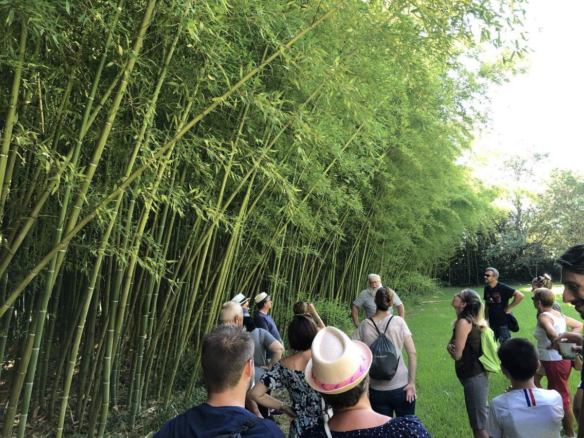 visite_bambouseraie_et_foin_de_la_crau_aout_2019_18.jpg