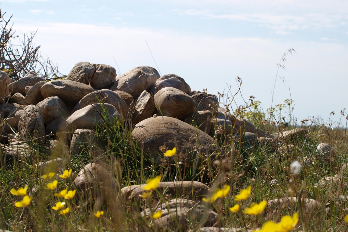 La Plaine de la Crau La Plaine de la Crau