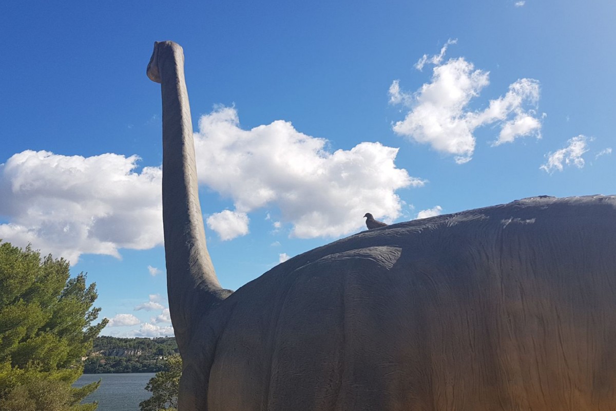Visitez Dinosaur'Istres et le diplodocus 