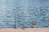 ambaince_ponton_echelle_etang_de_l_olivier_tbc.jpg