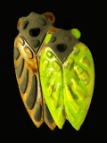 13ART000340_1_WEB.jpg
