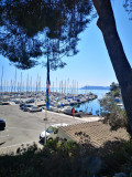 port_des_heures_claires_mai_2019_1.jpg