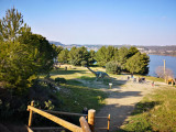dinosaur_istres_fevrier_2019_5.jpg