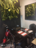 img_20240112_165532_original.jpeg