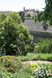 fleurs_jardins_4.jpg