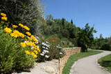 fleurs_jardins_5.jpg