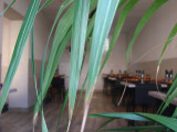 13REST002172_2_HD.jpg