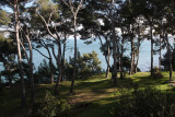 Pinède des 4 vents