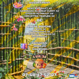 463241346_122094636872580339_4973037991024511941_n.jpg