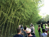visite_bambouseraie_et_foin_de_la_crau_aout_2019_18.jpg