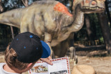 circuits_dinosaur_istres_two_black_cameras.jpg