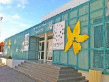 13T1029032_1_WEB.jpg