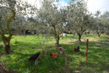 Photo_9