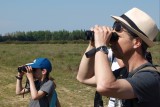 Observation ornithologique dans la plaine de la Crau