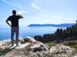 Pinède des 4 vents au bord de l'étang de Berre