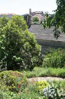 fleurs_jardins_4.jpg