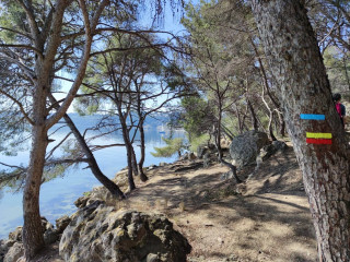 etang_de_berre_balade_mars_2021_balisage_gr_110.jpg