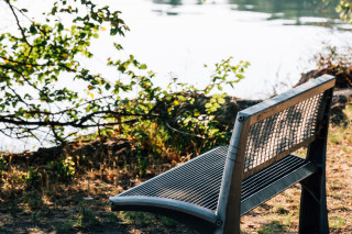 Les rives de l'étang de l'Olivie