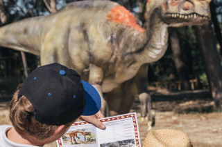 circuits_dinosaur_istres_two_black_cameras.jpg circuits_dinosaur_istres_two_black_cameras.jpg