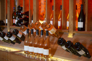 Cave viticole domaine de sulauze