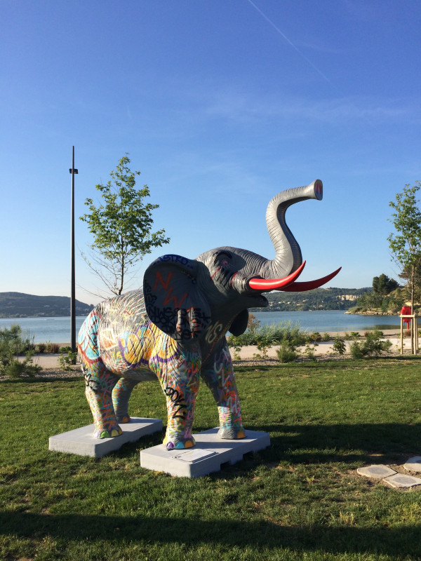 elephant.jpg