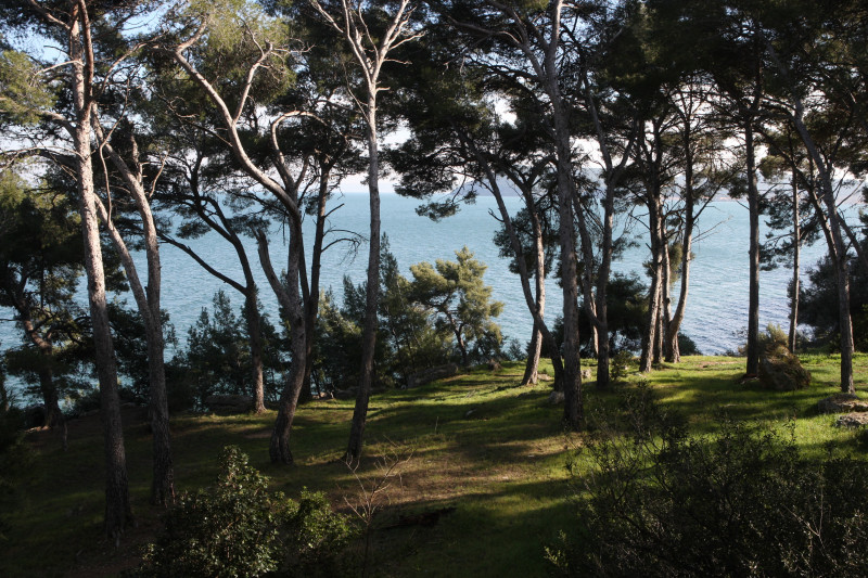 Pinède des 4 vents