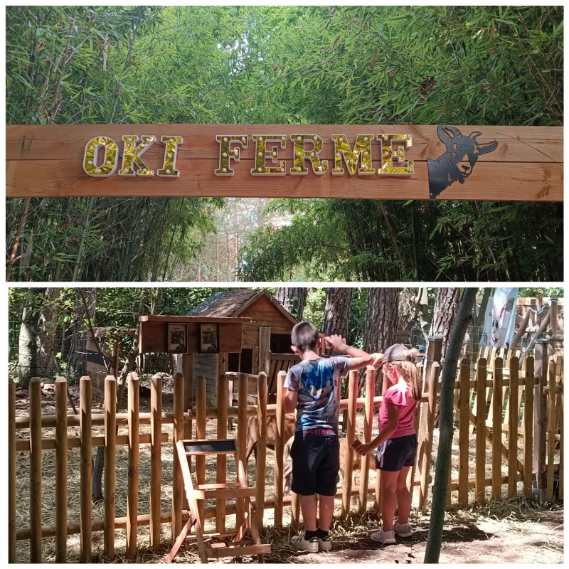 358574679_228490093451378_8089684106405908963_n.jpg 358574679_228490093451378_8089684106405908963_n.jpg