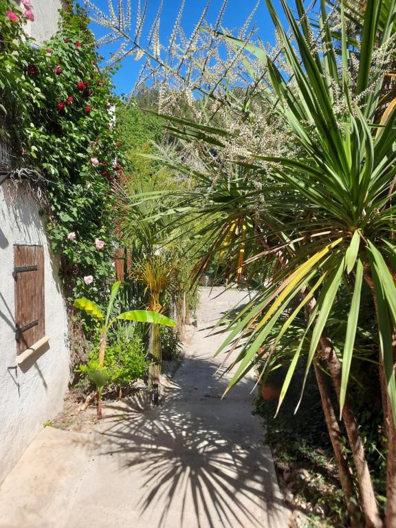 La Palmeraie_Istres - © la Palmeraie La Palmeraie_Istres