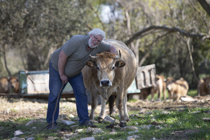 Fredéric Fano, bambouseraie de Sulauze, foin de Crau et vache aubrac