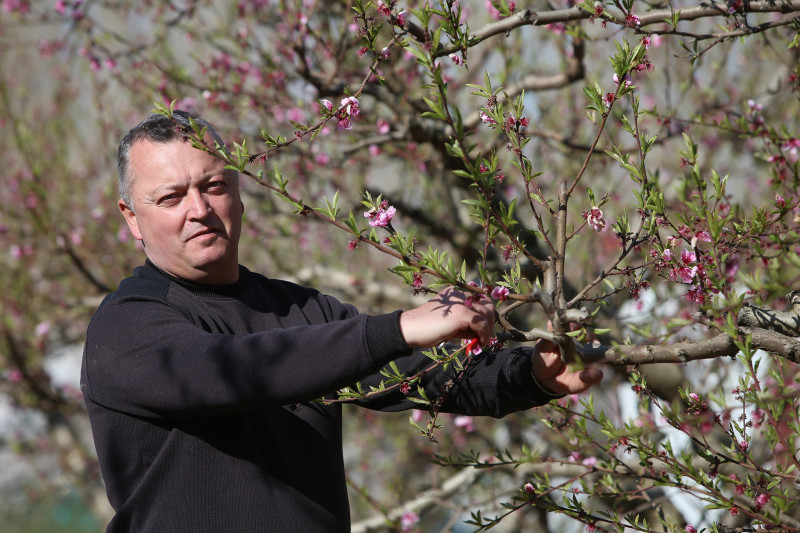 Denis Collado, EARL Coco Fruits Denis Collado, EARL Coco Fruits