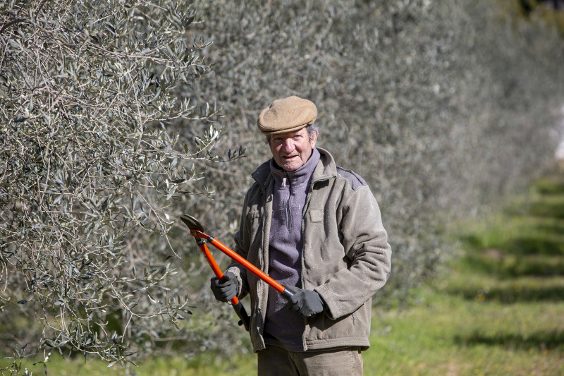 Huile d'olive Gimenez Huile d'olive Gimenez