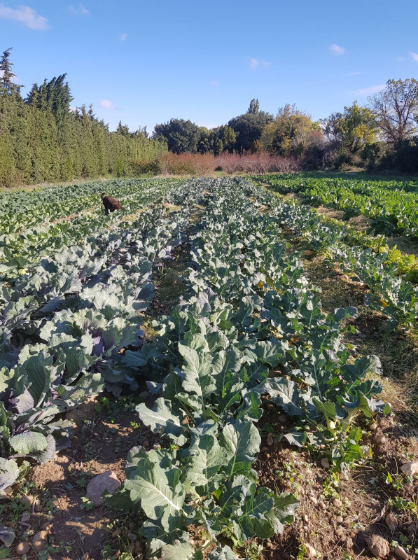 124211967_1708852372607288_891231608483932874_o.jpg 124211967_1708852372607288_891231608483932874_o.jpg