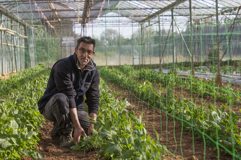 Les paniers de José Les paniers de José